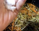 炊飯器で根菜とヒジキの炊き込みご飯作り方11写真