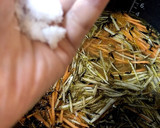 炊飯器で根菜とヒジキの炊き込みご飯作り方11写真