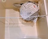 簡単！梅干しの作り方(シソなし白梅干し)作り方12写真