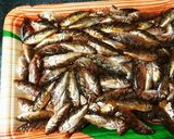 ご飯がすすむ！ハチメの稚魚の甘露煮作り方1写真