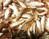 ご飯がすすむ！ハチメの稚魚の甘露煮作り方2写真