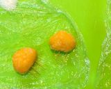 子供大好き！しまじろうおにぎり作り方7写真