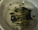 本格だし派さんの⭐️電子レンジおみそしる作り方4写真