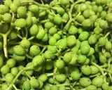 京風ちりめん山椒作り方1写真