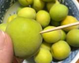 【備忘録】日本酒で漬ける梅酒作り方3写真
