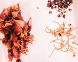 さっぱり★ホタルイカとわかめの酢の物作り方4写真