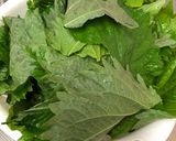 大葉の佃煮作り方1写真