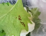 絶品！大葉or青じそのしょうゆ漬け作り方2写真