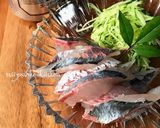 釣りたて鯵のさばき方（お刺身用+フライ）作り方18写真