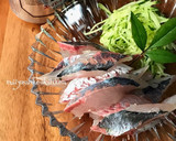釣りたて鯵のさばき方（お刺身用+フライ）作り方18写真