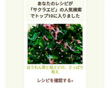 ほうれん草と桜エビの、さっぱり和え作り方5写真