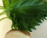 鯵の漬け丼作り方3写真