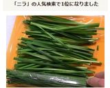 使う時に楽なニラの冷凍保存法作り方6写真