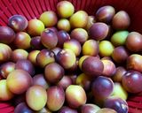 梅の蜂蜜漬け　ドリンク作り方1写真