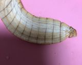 バナナの切り方(まな板は汚れないよ)作り方3写真