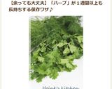ハーブのちょっと長持ち保存法作り方17写真