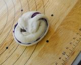 ねじりあんぱん作り方11写真