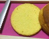 チーズとラズベリーのムースケーキ作り方12写真