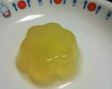 野菜や果物などのジュースでゼリー作り方10写真