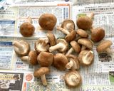 変わり種しいたけチーズ作り方1写真