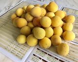 完熟梅で梅ジャム作り方1写真