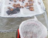 我が家のしそ梅干し作り方4写真