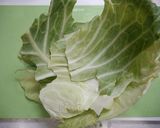 糖質オフ！キャベツの固い外葉でチヂミ風作り方1写真