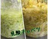 材料ふたつ、簡単な乳酸キャベツ作り方4写真