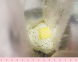 抹茶のドロップ塩クッキー♪ズボラ楽チン♪作り方2写真