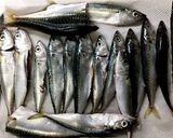 りんくう沖ごまさばのサクッと南蛮漬け作り方1写真