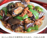 失敗ナシ「献立いろいろみそ」で簡単肉みそ作り方5写真