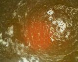 夏に爽やか＊レモンラーメン作り方4写真