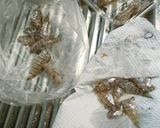簡単☆ネブトの唐揚げ作り方1写真