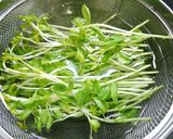 簡単！豆苗のチーズ肉巻きイタリアン作り方1写真