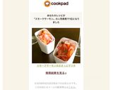 スモークサーモンのささっとマリネ作り方7写真