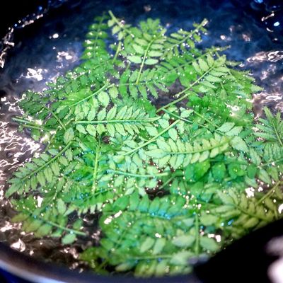 永久保存版「木の芽・山椒の新芽」冷凍保存 by 匡Masa 【クックパッド