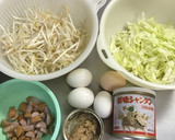 簡単節約♪もやしとキャベツのとんぺい焼き作り方1写真