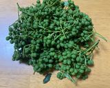 季節の味! 実山椒とたけのこの佃煮作り方1写真