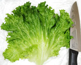 うちの味☆Wの胡椒♬ピリッと旨々レタス🥗作り方1写真