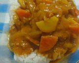 あらごしトマトでカレー作り方14写真