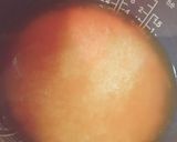 ☆生姜香る 簡単に本格あさりご飯☆作り方9写真