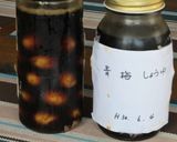 インゲンの豚バラ巻き梅醤油照り作り方7写真