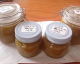 梅シロップ作り方14写真