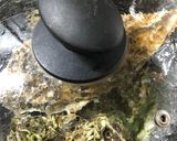 殻付き牡蠣のまるごと酒蒸し作り方3写真