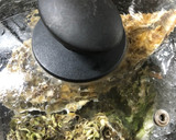 殻付き牡蠣のまるごと酒蒸し作り方3写真