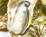 殻付き牡蠣のまるごと酒蒸し作り方5写真