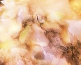 豚肉じゃが作り方4写真