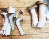 エリンギのお吸い物♪ あごだしパック使用作り方1写真