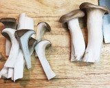 エリンギのお吸い物♪ あごだしパック使用作り方1写真