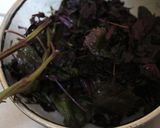 梅干@20%長期保存可★初心者むけ作り方7写真